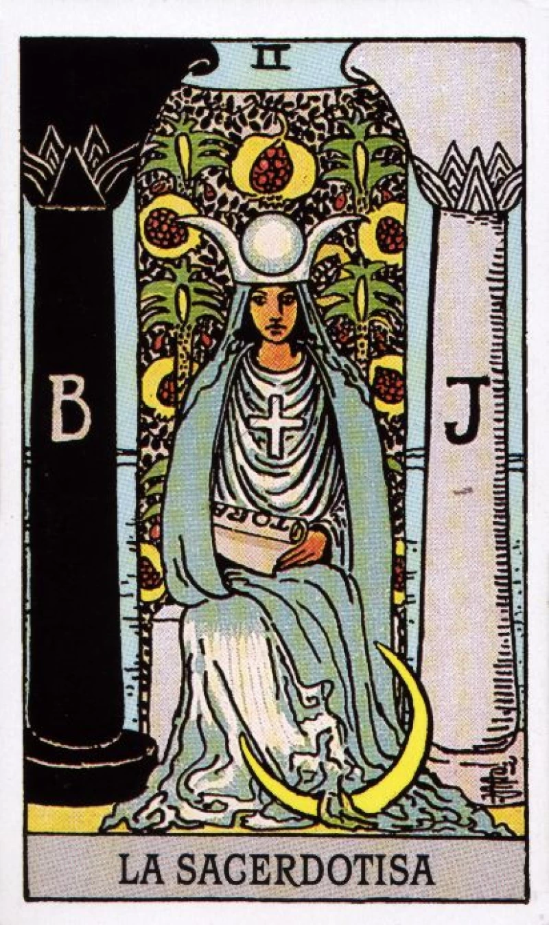 A Força da Intuição Feminina: a voz que guia além da razão